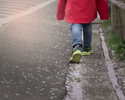 Child walking in the street alone
