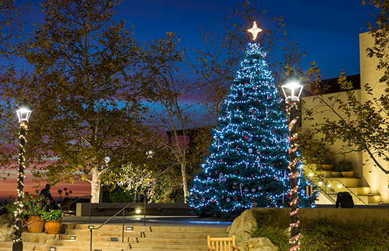 Lit Christmas Tree at Pepperdine University