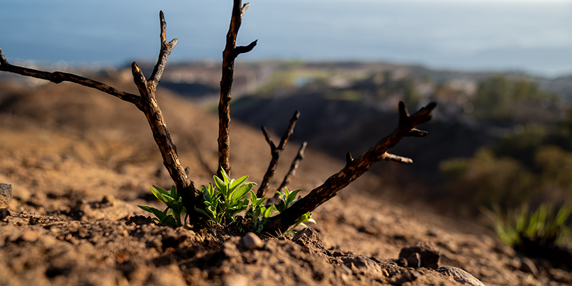 masters in public policy environmental influence