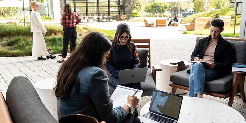 Understanding MPP Curriculum