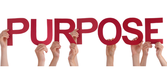 purpose graphic 