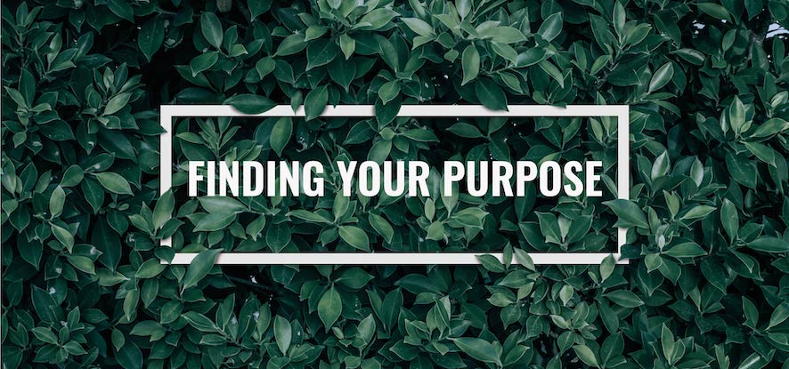 Finding Your Purpose 