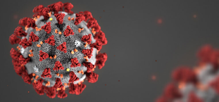 Corona Virus