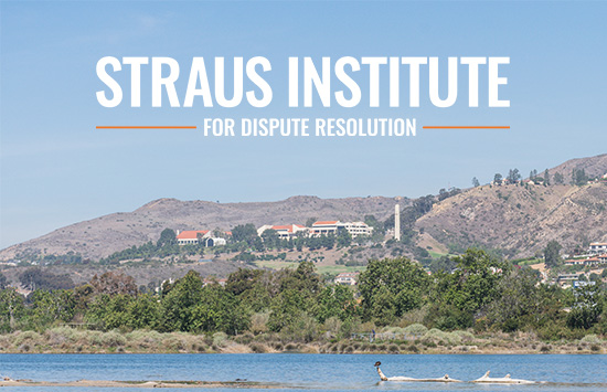 Straus Institute for Dispute Resolution 