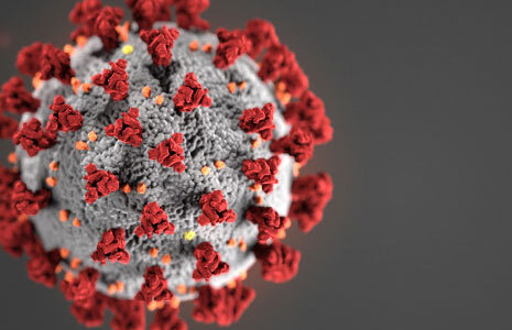 Coronavirus cell